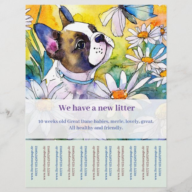 Prospectus 21,6 Cm X 24,94 Cm Flyer Bouledogue Français  (Devant)