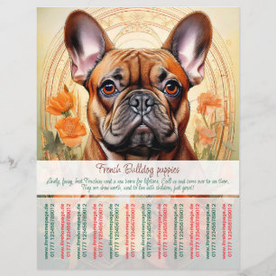 Prospectus 21,6 Cm X 24,94 Cm Flyer de chiot Bouledogue Français 