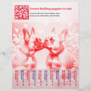 Prospectus 21,6 Cm X 24,94 Cm Flyer de vente de chiots Frenchie