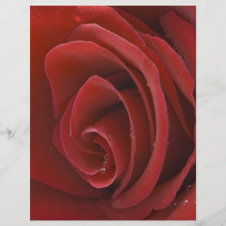 Prospectus 21,6 Cm X 24,94 Cm Flyer Rose Rouge