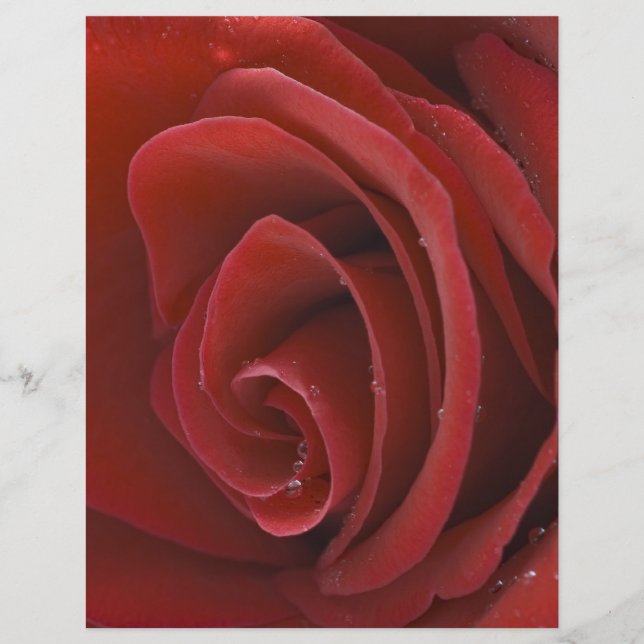 Prospectus 21,6 Cm X 24,94 Cm Flyer rouge (Devant)