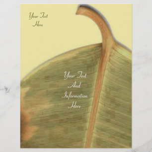 Prospectus 21,6 Cm X 24,94 Cm Flyer vert