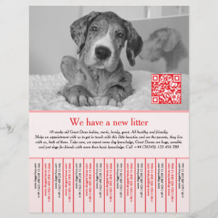 Prospectus 21,6 Cm X 24,94 Cm flyers de chiot rouge