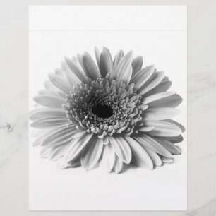 Prospectus 21,6 Cm X 24,94 Cm Gerbera