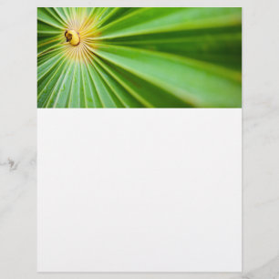 Prospectus 21,6 Cm X 24,94 Cm Green leaves background