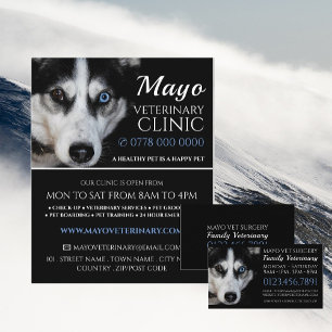 Prospectus 21,6 Cm X 24,94 Cm Husky, Vétérinaire, Service vétérinaire