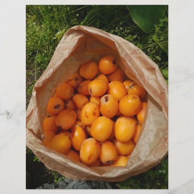 Prospectus 21,6 Cm X 24,94 Cm Loquats frais (Devant)