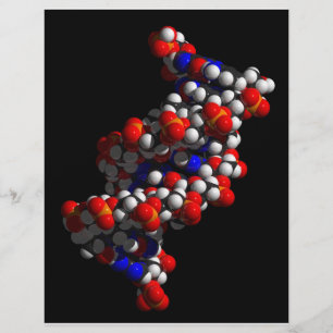 Prospectus 21,6 Cm X 24,94 Cm Modèle ADN double hélix