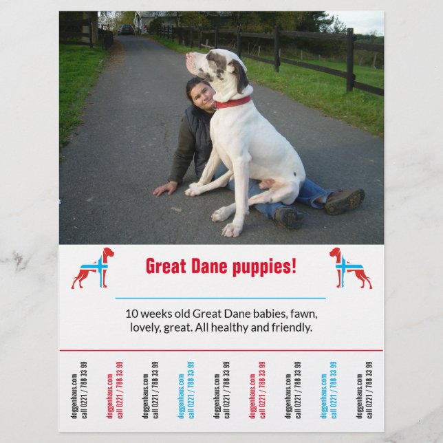 Prospectus 21,6 Cm X 24,94 Cm modèle de flyer de chien imprimable (Devant)