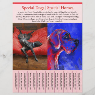 Prospectus 21,6 Cm X 24,94 Cm modèles de flyers de vente de chiots