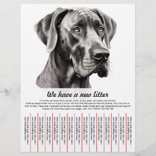 Prospectus 21,6 Cm X 24,94 Cm modèles de flyers pour chiots à vendre