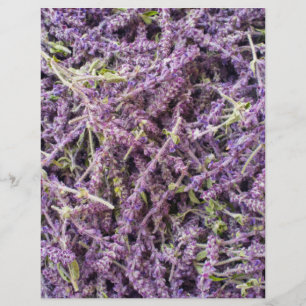 Prospectus 21,6 Cm X 24,94 Cm Motif de fleurs de lavande