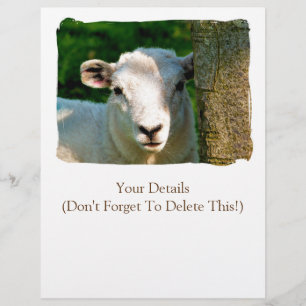PROSPECTUS 21,6 CM X 24,94 CM MOUTON