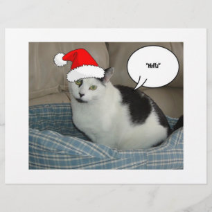 Prospectus 21,6 Cm X 24,94 Cm Noël noir et blanc Kitten