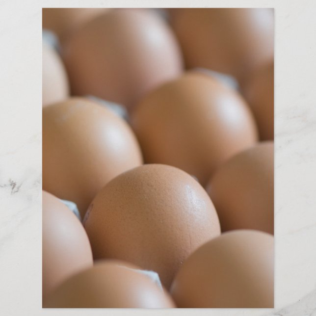 Prospectus 21,6 Cm X 24,94 Cm Oeufs (Devant)