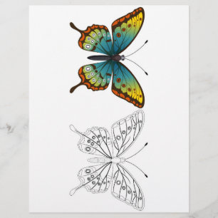 Prospectus 21,6 Cm X 24,94 Cm Page de coloration des papillons de cartons mignon