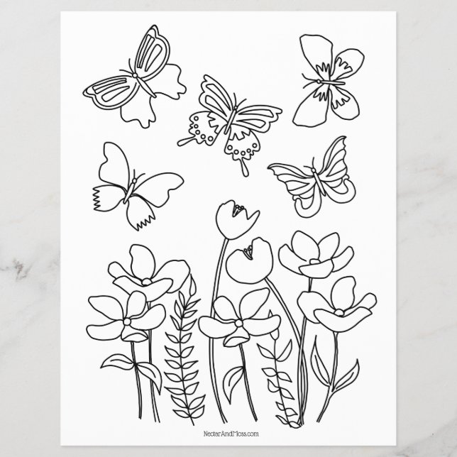 Prospectus 21,6 Cm X 24,94 Cm Page de coloration des papillons et des fleurs (Devant)