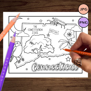 Prospectus 21,6 Cm X 24,94 Cm page de coloriage de l'état de connexion et des fa