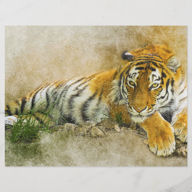 Prospectus 21,6 Cm X 24,94 Cm Peinture sur tigre (Devant)