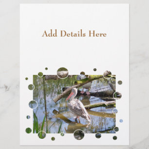 PROSPECTUS 21,6 CM X 24,94 CM PÉLICANS