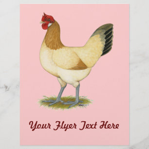 Prospectus 21,6 Cm X 24,94 Cm Penedesenca : Roue