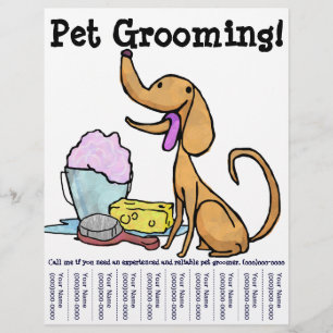 Prospectus 21,6 Cm X 24,94 Cm Pet Grooming ! Flyer