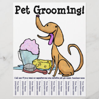 Prospectus 21,6 Cm X 24,94 Cm Pet Grooming ! Flyer