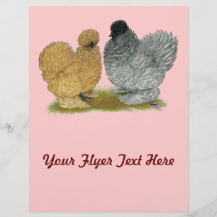 Prospectus 21,6 Cm X 24,94 Cm Petits poulets
