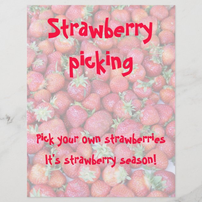 Prospectus 21,6 Cm X 24,94 Cm Picking de Strawberry (Devant)