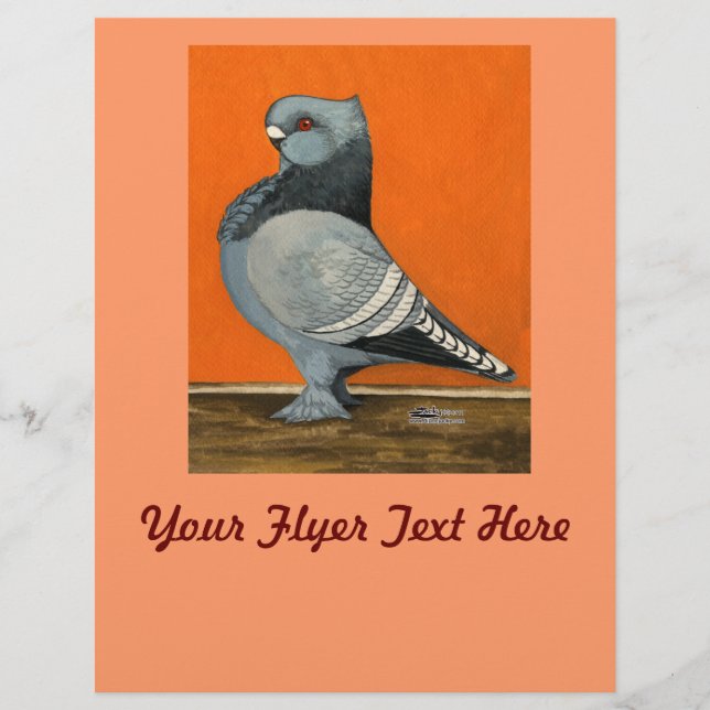 Prospectus 21,6 Cm X 24,94 Cm Pigeon Blondinette Bleue (Devant)