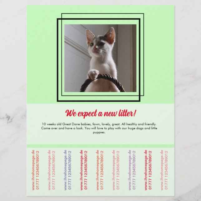 Prospectus 21,6 Cm X 24,94 Cm Pour vendre Puppies Flyer (Devant)