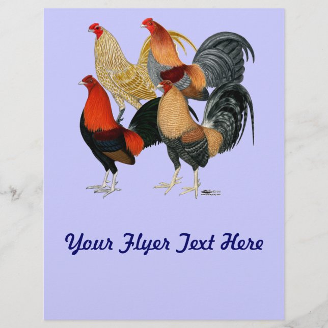 Prospectus 21,6 Cm X 24,94 Cm Quatre gamecocks (Devant)