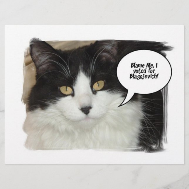 Prospectus 21,6 Cm X 24,94 Cm Rod Blagojevich (Devant)