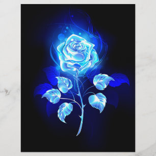 Prospectus 21,6 Cm X 24,94 Cm Rose Bleue Brûlante