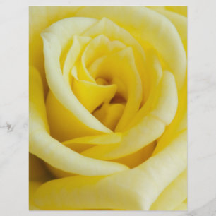 Prospectus 21,6 Cm X 24,94 Cm Rose jaune