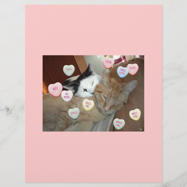 Prospectus 21,6 Cm X 24,94 Cm Saint Valentin Chatons (Devant)