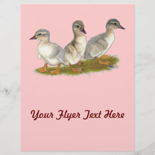 Prospectus 21,6 Cm X 24,94 Cm Saxe Ducklings