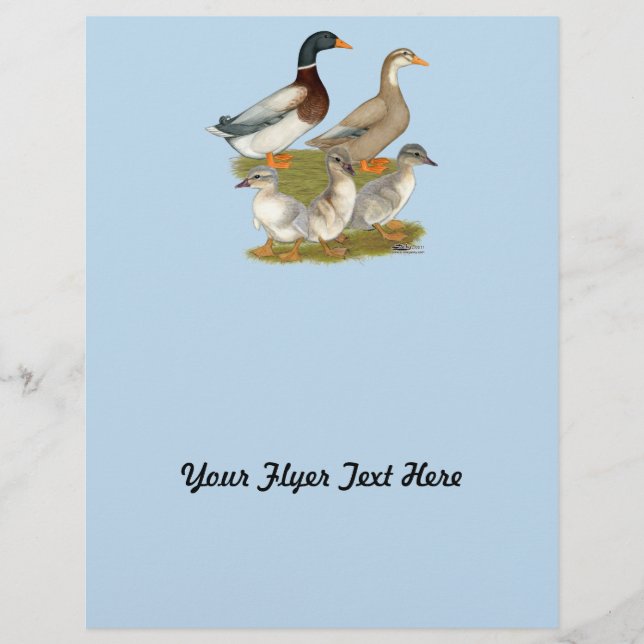 Prospectus 21,6 Cm X 24,94 Cm Saxony (Devant)