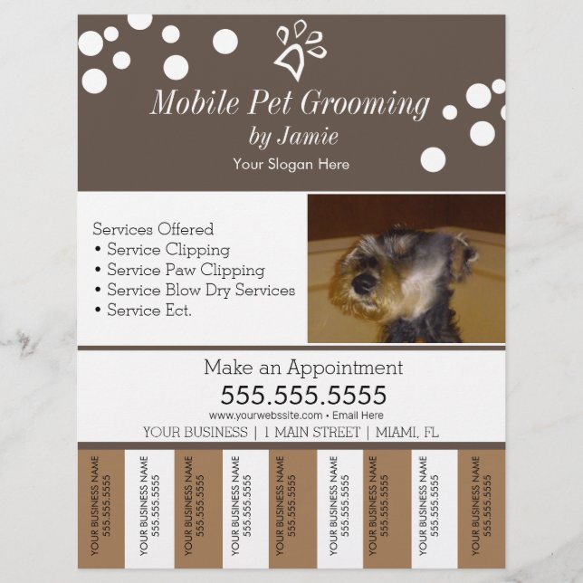 Prospectus 21,6 Cm X 24,94 Cm Services aux animaux de compagnie Gros chien déchi (Devant)