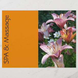 Prospectus 21,6 Cm X 24,94 Cm SPA et massage