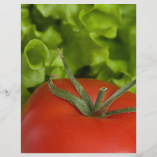Prospectus 21,6 Cm X 24,94 Cm Tomate