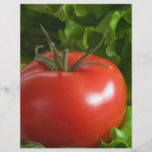 Prospectus 21,6 Cm X 24,94 Cm Tomate