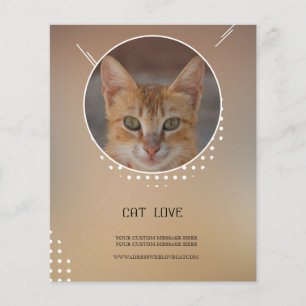 prospectus Amoureux des chats
