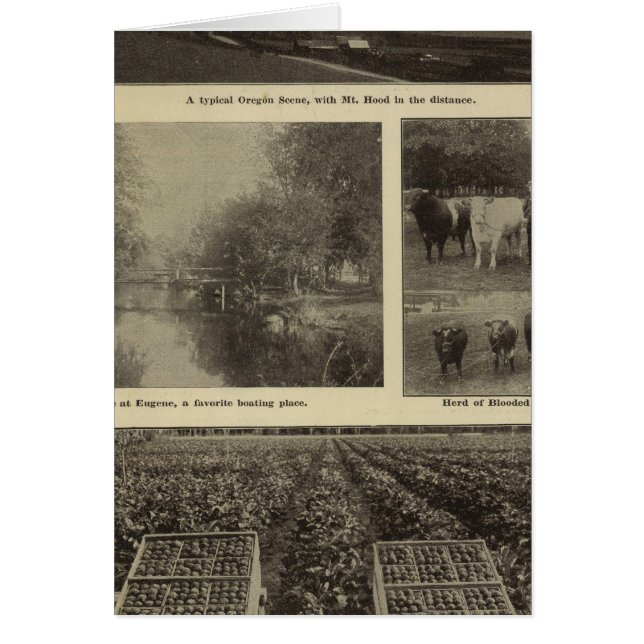 Prospérité, abondance en Oregon (Devant)