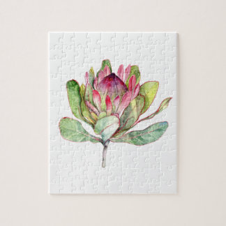 Protea-Blume