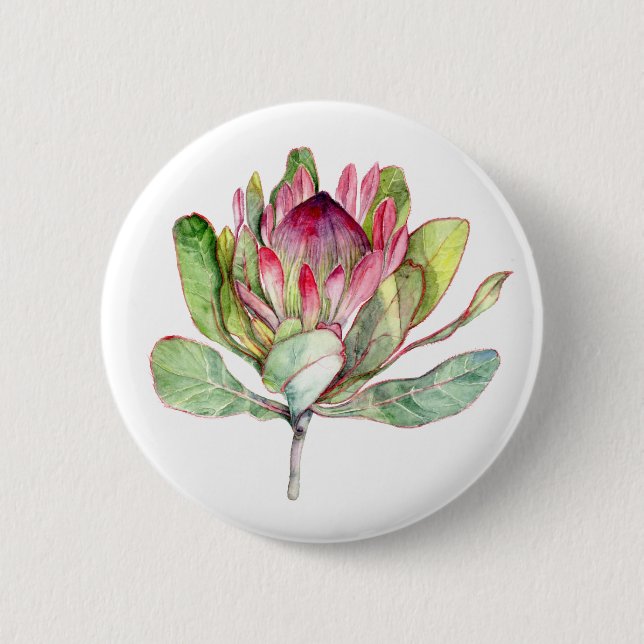 Protea-Blume Button (Vorderseite)