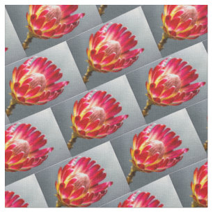 Protea Blume Foto Muster Flora Blume Stoff