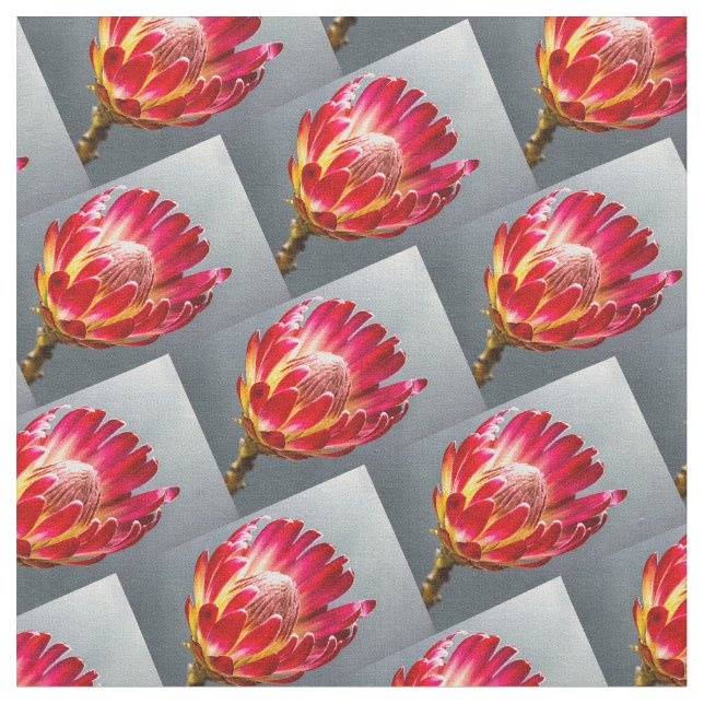 Protea Blume Foto Muster Flora Blume Stoff (Nahaufnahme)