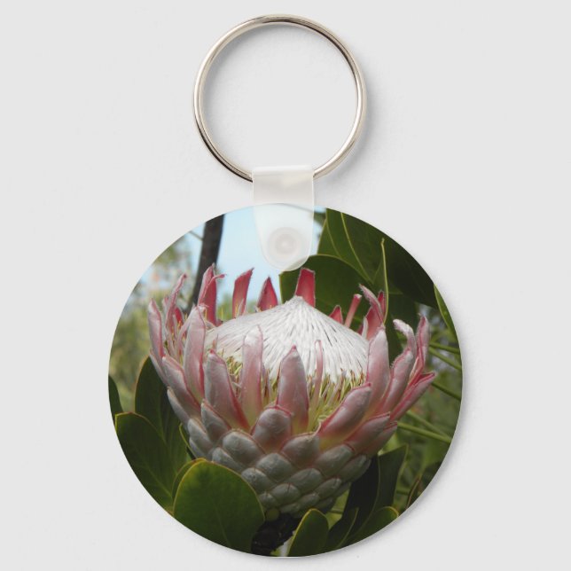 Protea Blume Hawaii Schlüsselanhänger (Vorderseite)