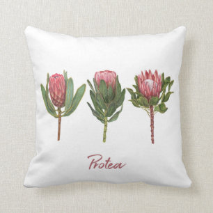 Protea-Blume Kissen
